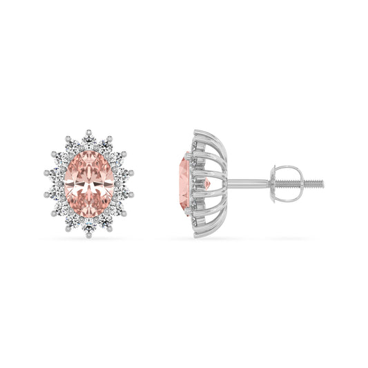 lab grown morganite oval stud earrings in white gold 
